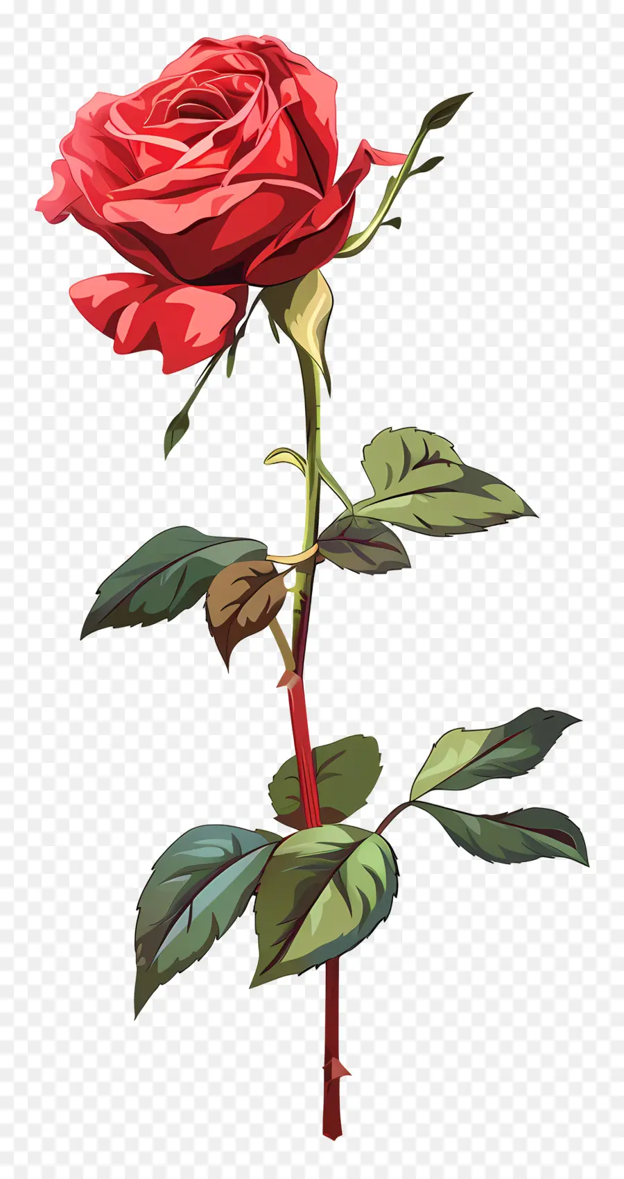 Solo Rose，Rosa Roja PNG