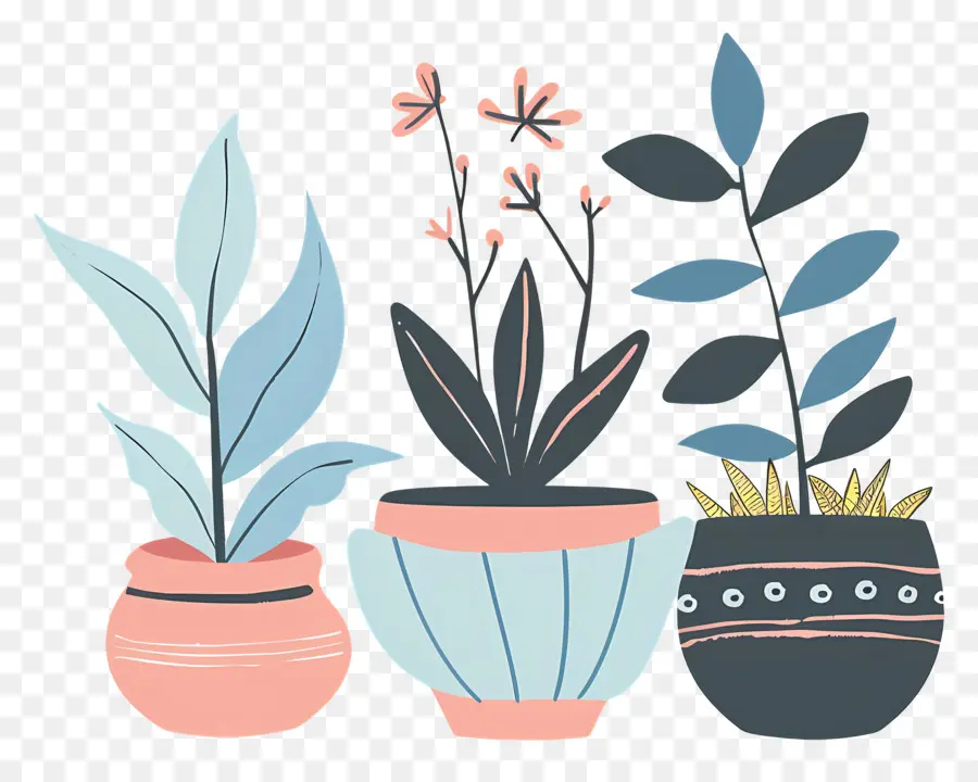 Las Plantas，Las Plantas En Maceta PNG