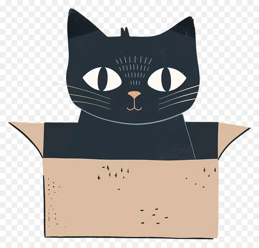 Gato En La Caja，Gato Negro PNG