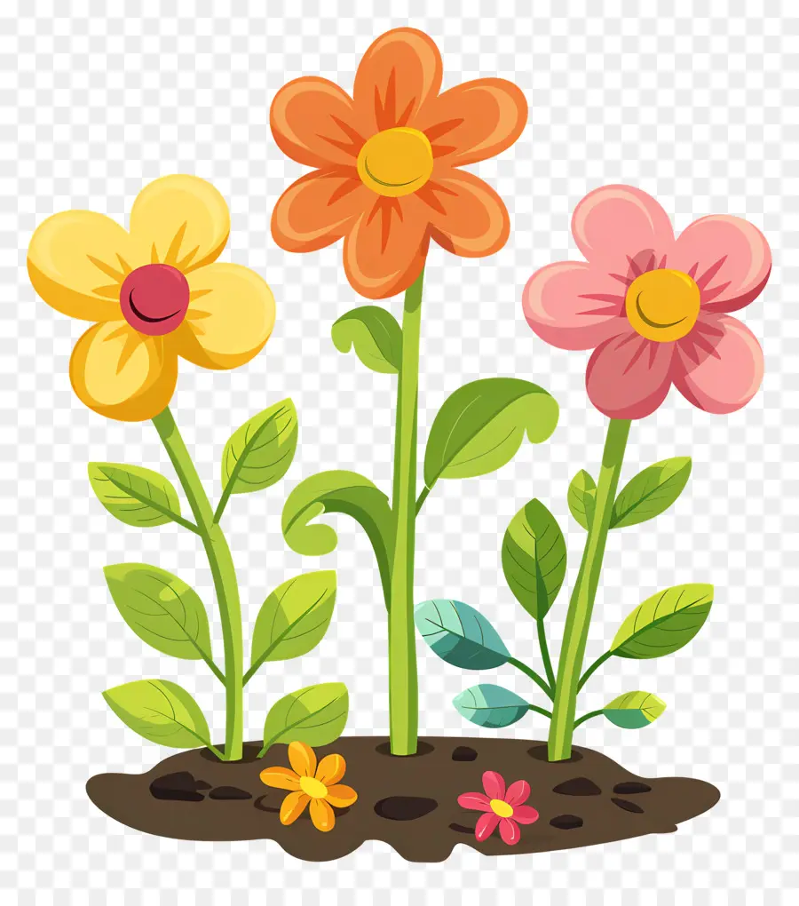 Flores Que Crecen，Flores PNG