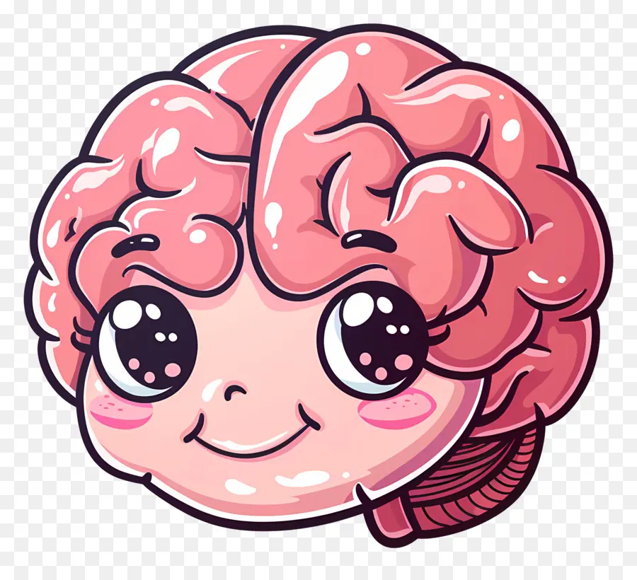 Lindo Cerebro，Cerebro PNG