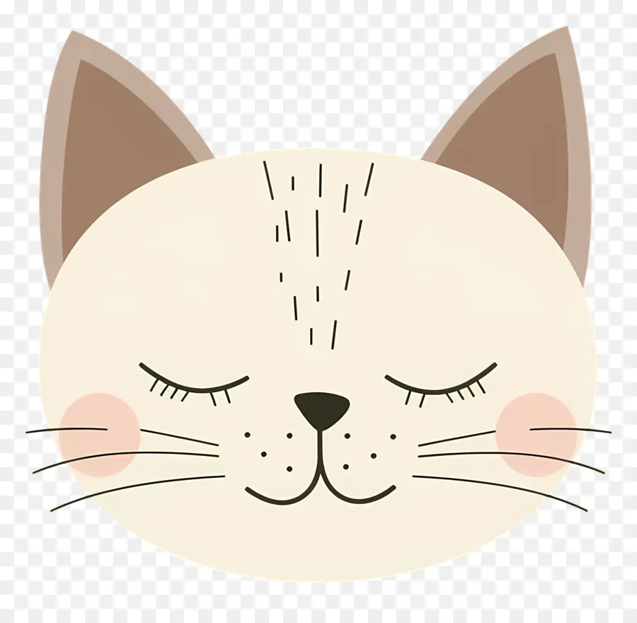 Gato Lindo Rostro，Dormir Gato PNG