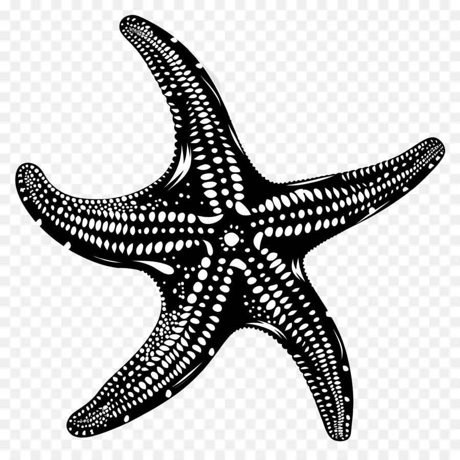 Silueta De Estrella De Mar，Estrella De Mar PNG