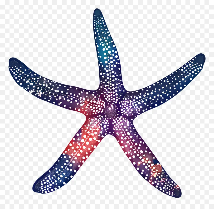 Silueta De Estrella De Mar，Estrella De Mar PNG