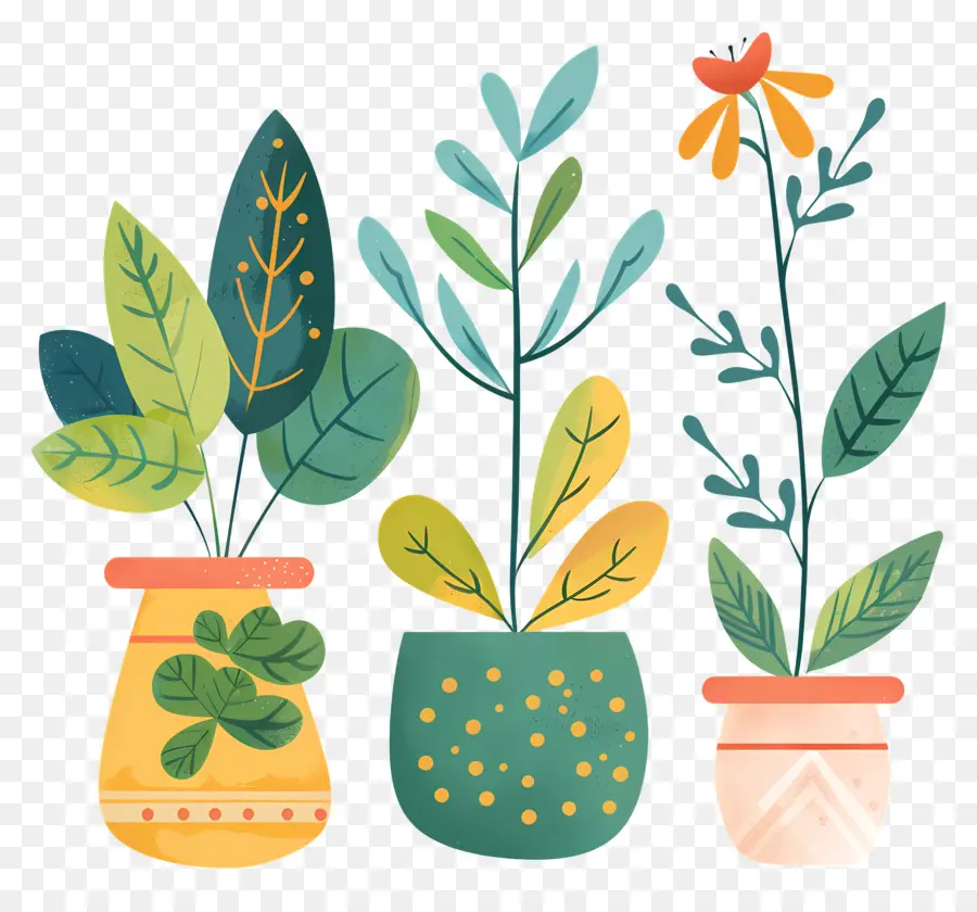 Las Plantas，Las Plantas De Interior PNG