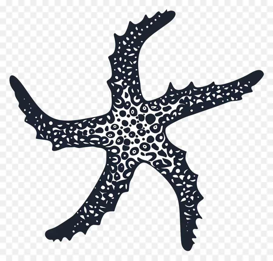 Silueta De Estrella De Mar，Estrella De Mar PNG