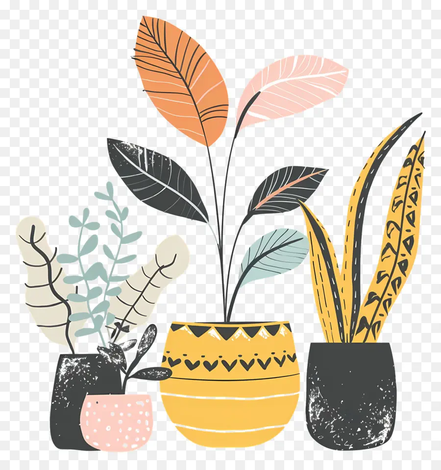 Plantas，Plantas En Macetas PNG