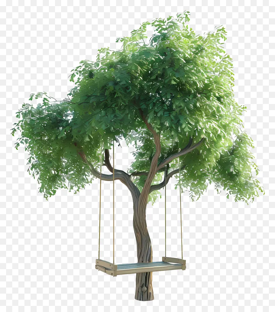 Verano，árbol Con Columpio PNG