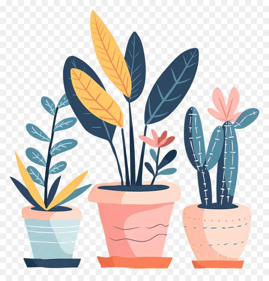 Plantas，Plantas En Macetas PNG