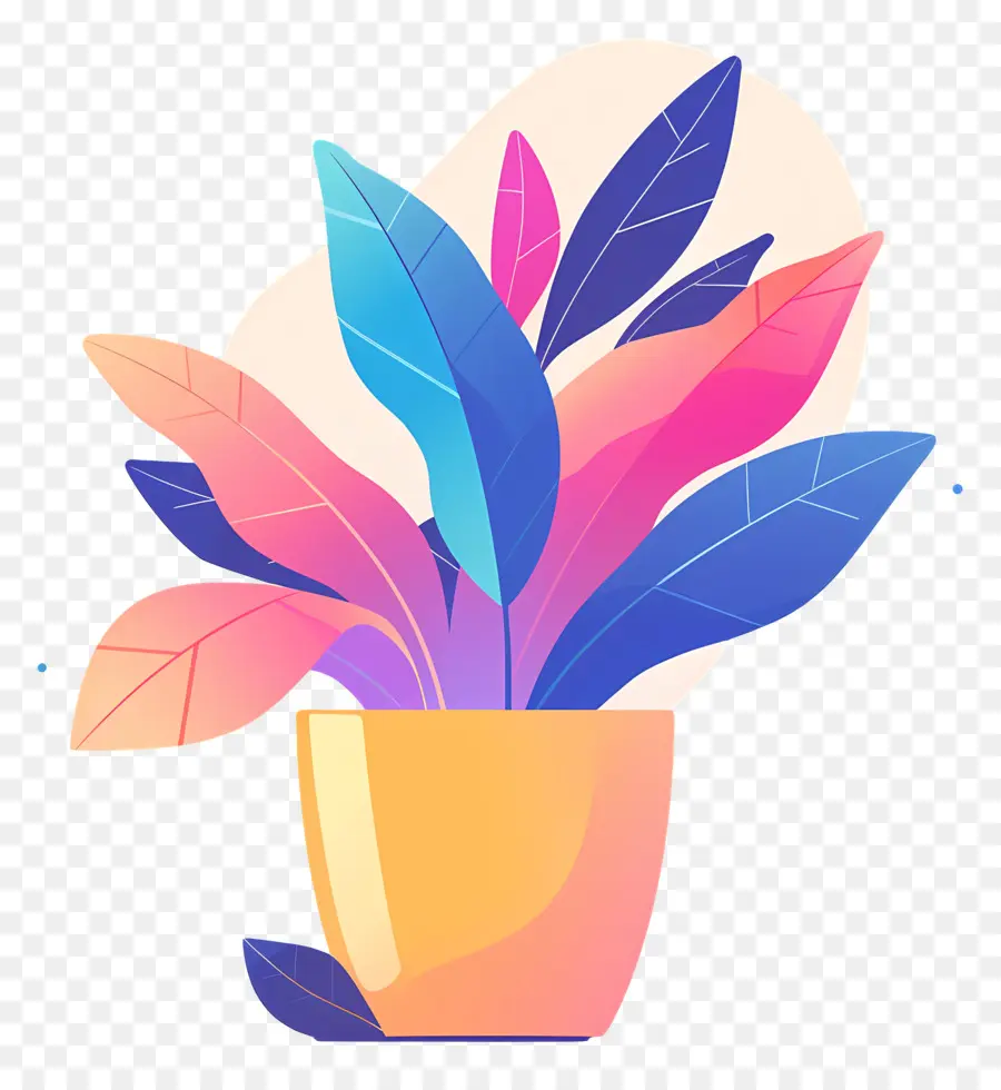 Maceta，Planta Colorida PNG