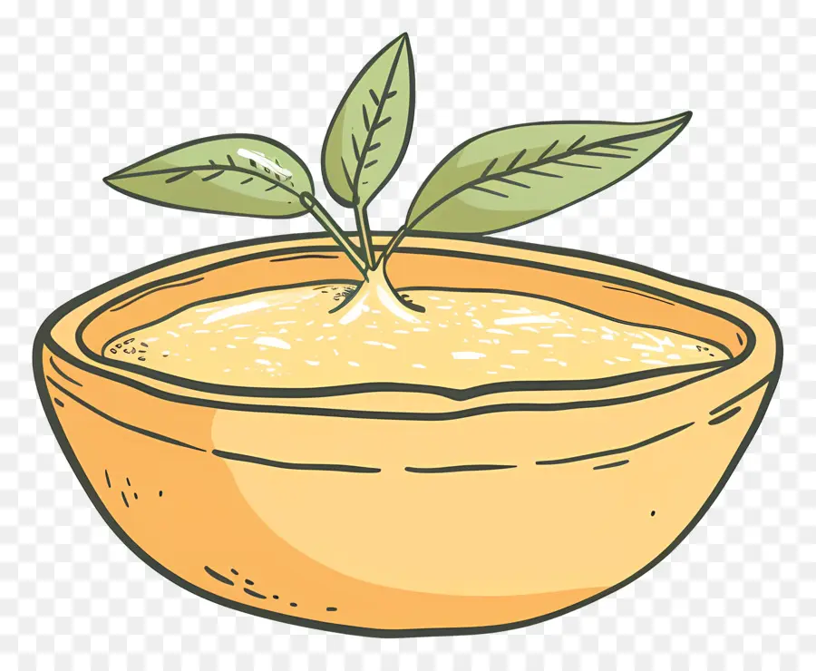 Ghee，Cuenco Con Planta PNG