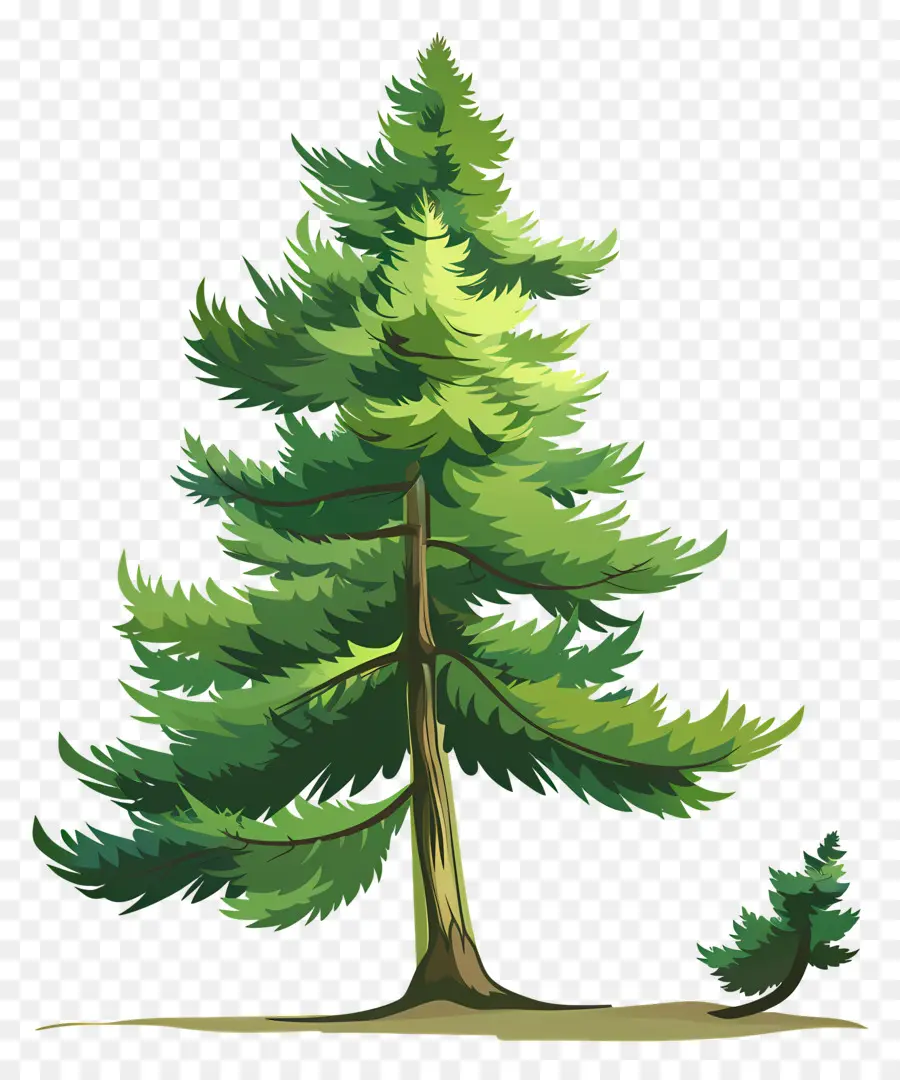 Silueta De árbol De Pino，Árbol PNG