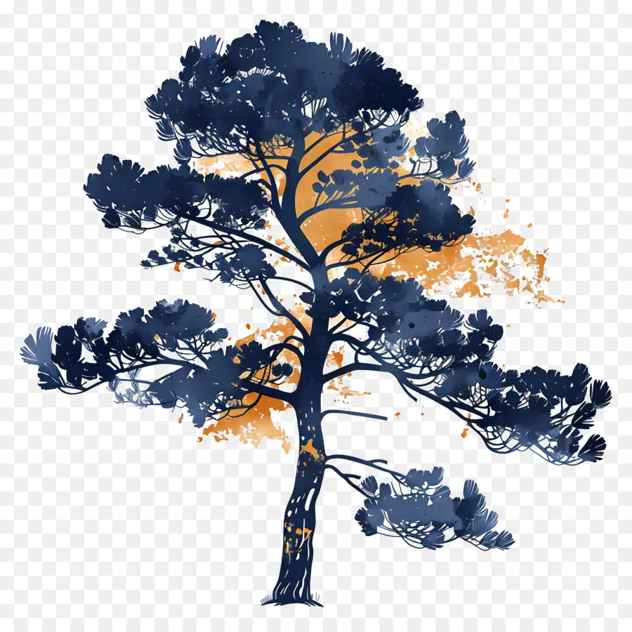 Silueta De árbol De Pino，Árbol PNG