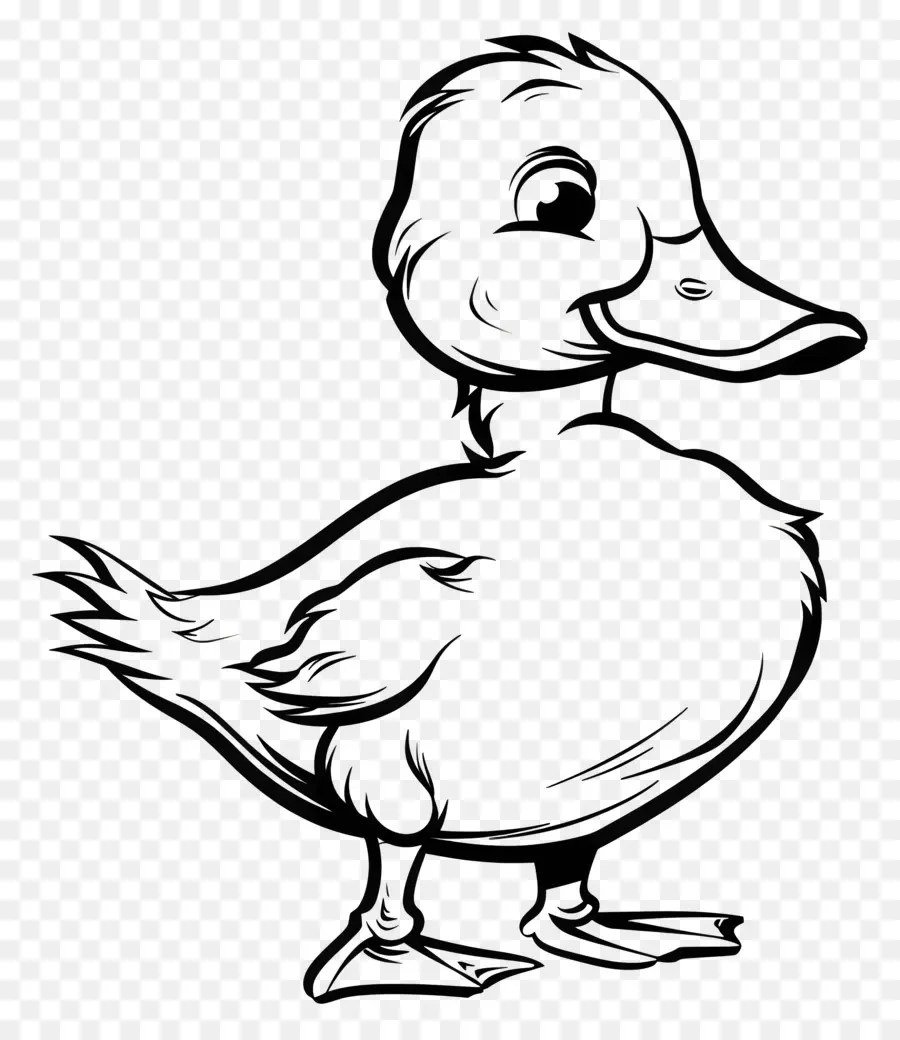 Pato，En Blanco Y Negro PNG