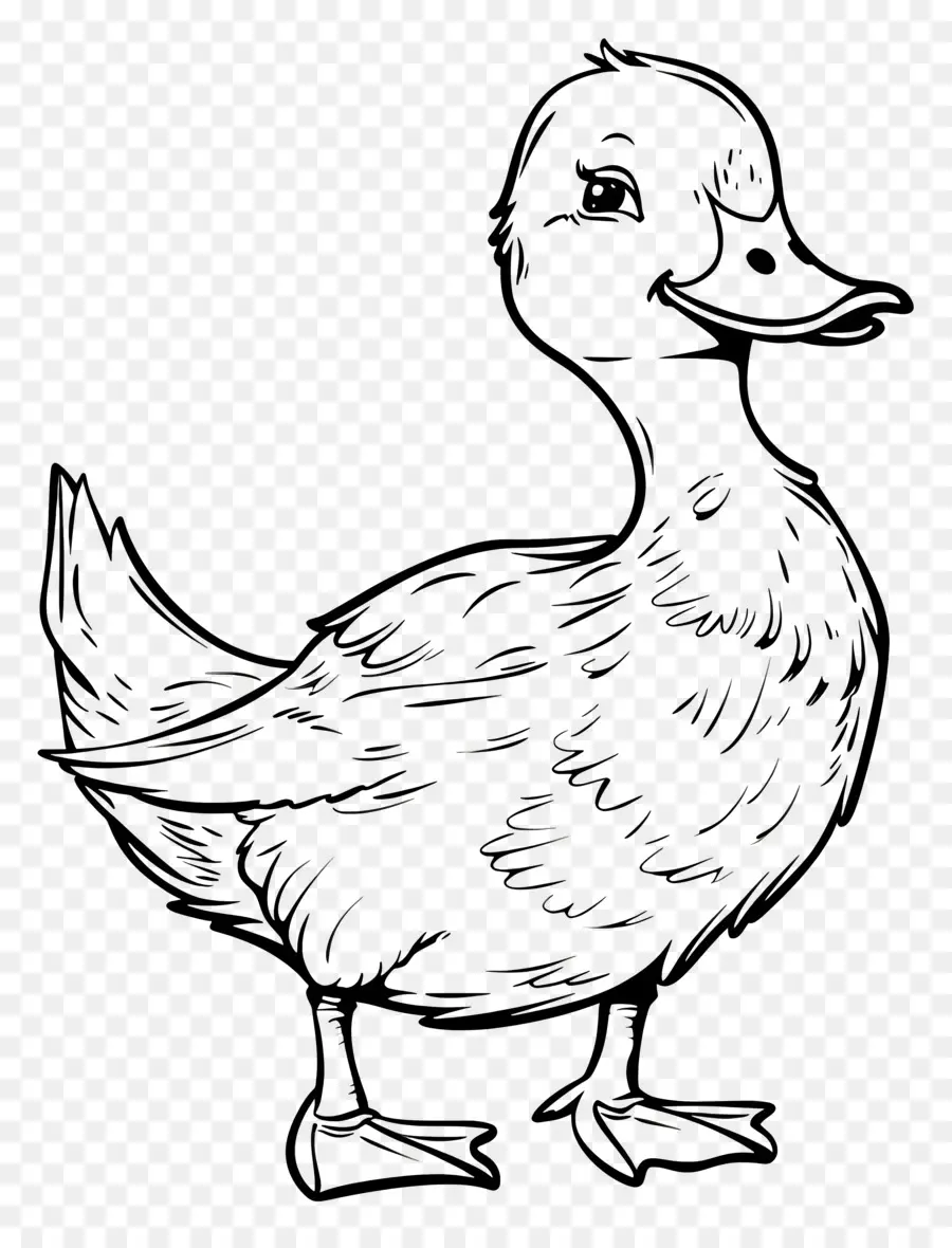 Pato，Pato Dibujo PNG