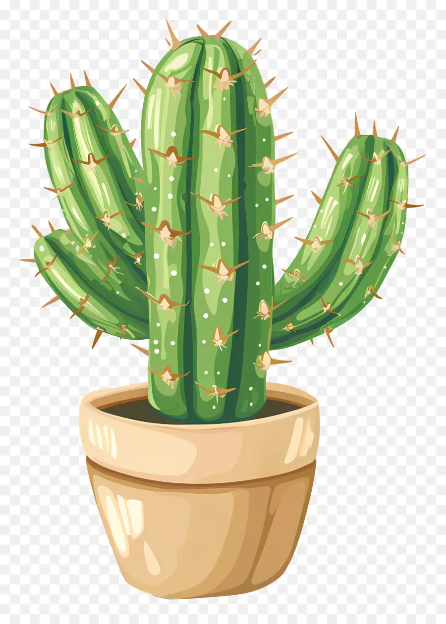 Verde Cactus，Cactus PNG