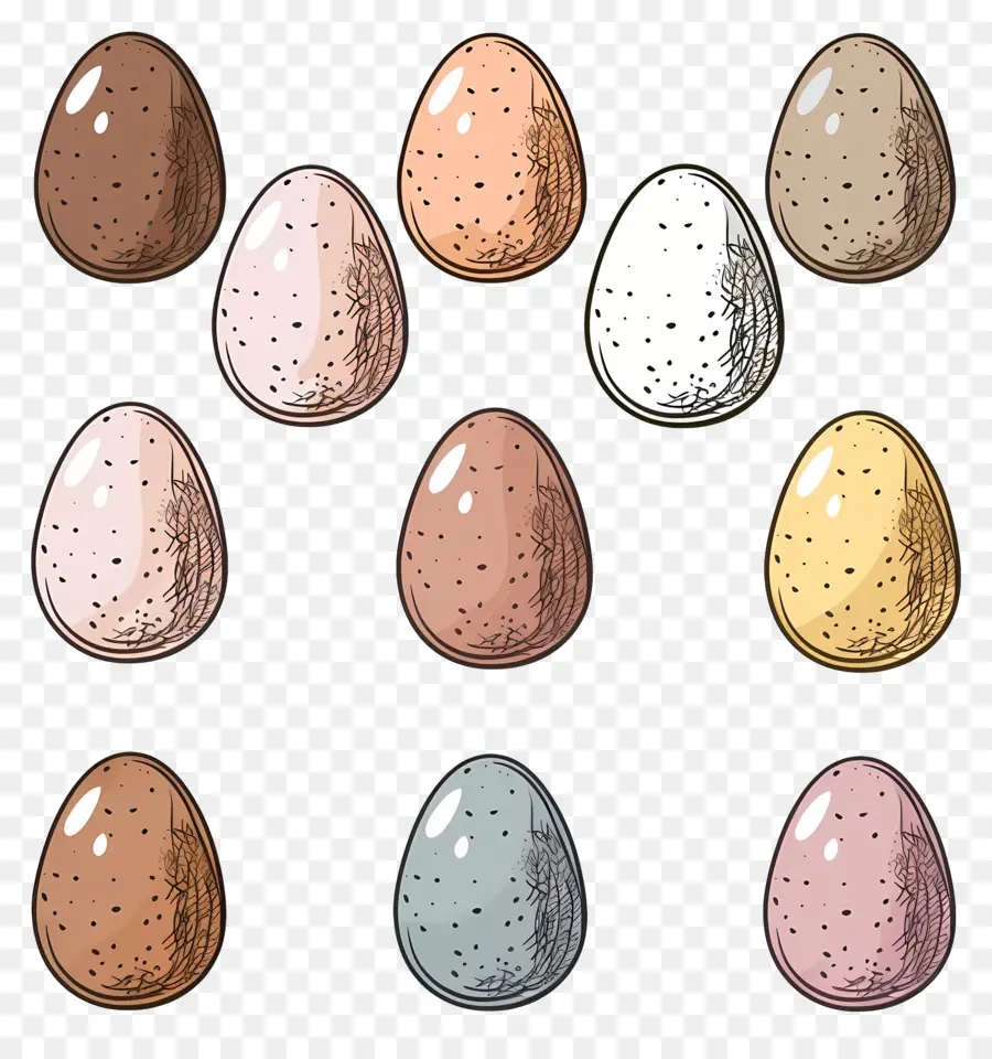 Eggs，Los Huevos De Gallina PNG