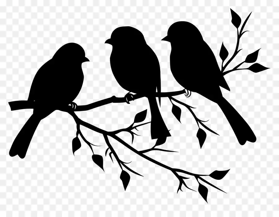 Pájaros Sentados En Una Rama，Black Background PNG