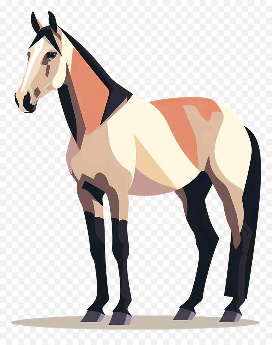 Caballo，Igual PNG