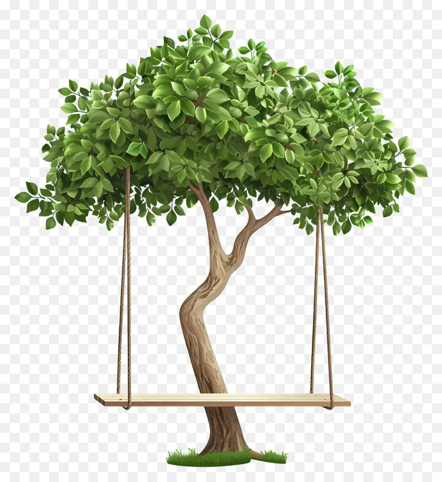 Verano，árbol Con Columpio PNG