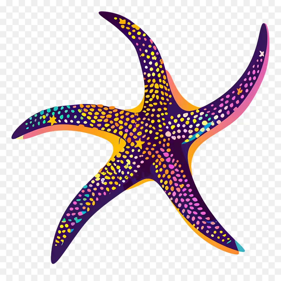 Silueta De Estrella De Mar，Estrella De Mar Colorida PNG