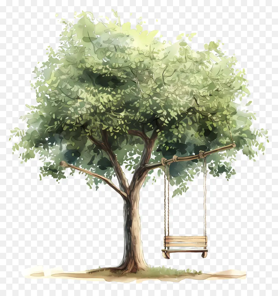 Verano，Árbol Con Columpio PNG