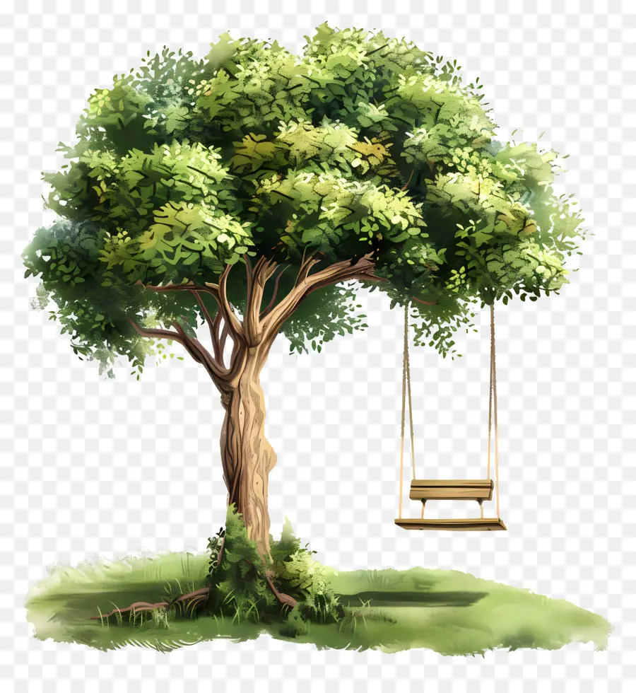 Verano，árbol De Swing PNG