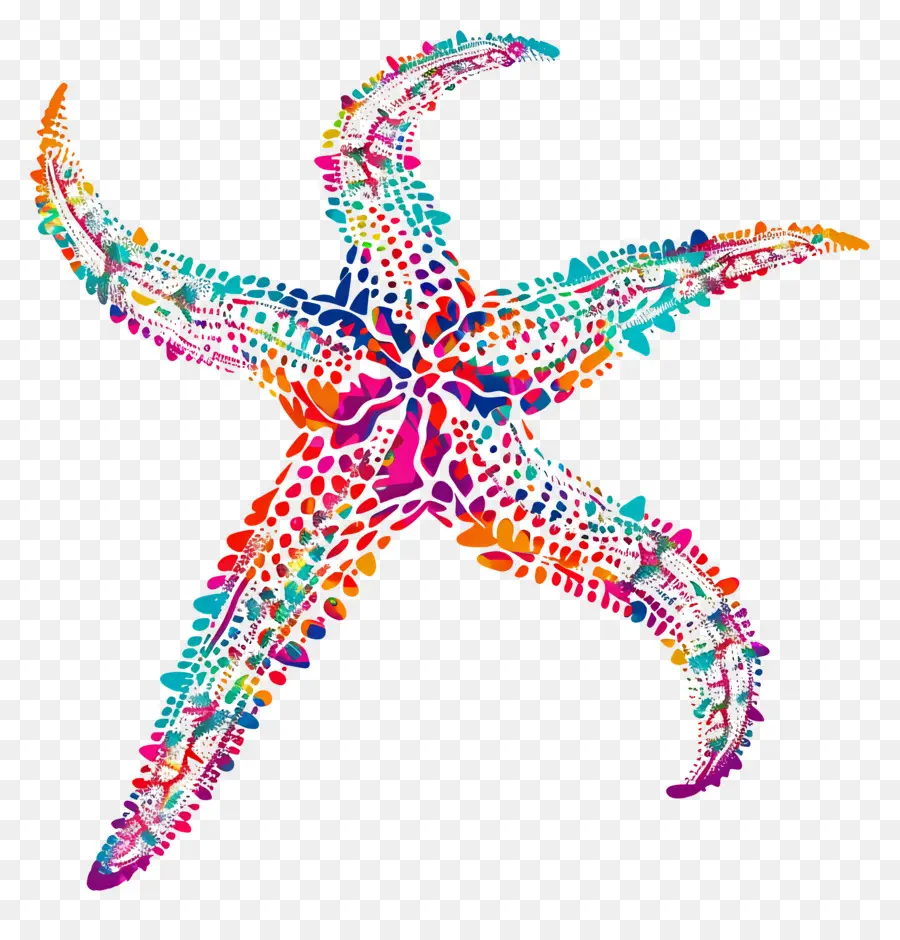 Silueta De Estrella De Mar，Estrella De Mar Colorida PNG