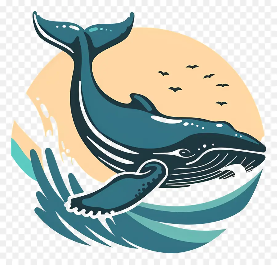 Avistamiento De Ballenas，Ballena PNG