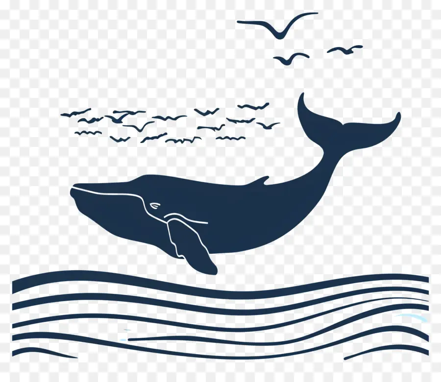 Avistamiento De Ballenas，Ballena PNG