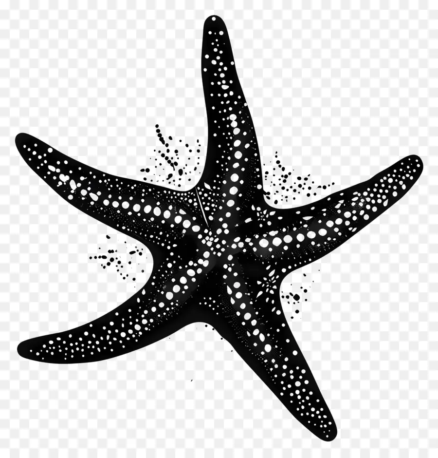 Silueta De Estrella De Mar，Estrella De Mar PNG