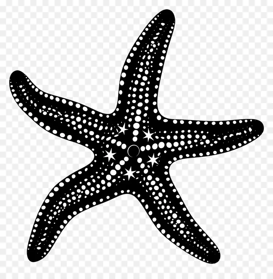 Silueta De Estrella De Mar，Estrella De Mar PNG