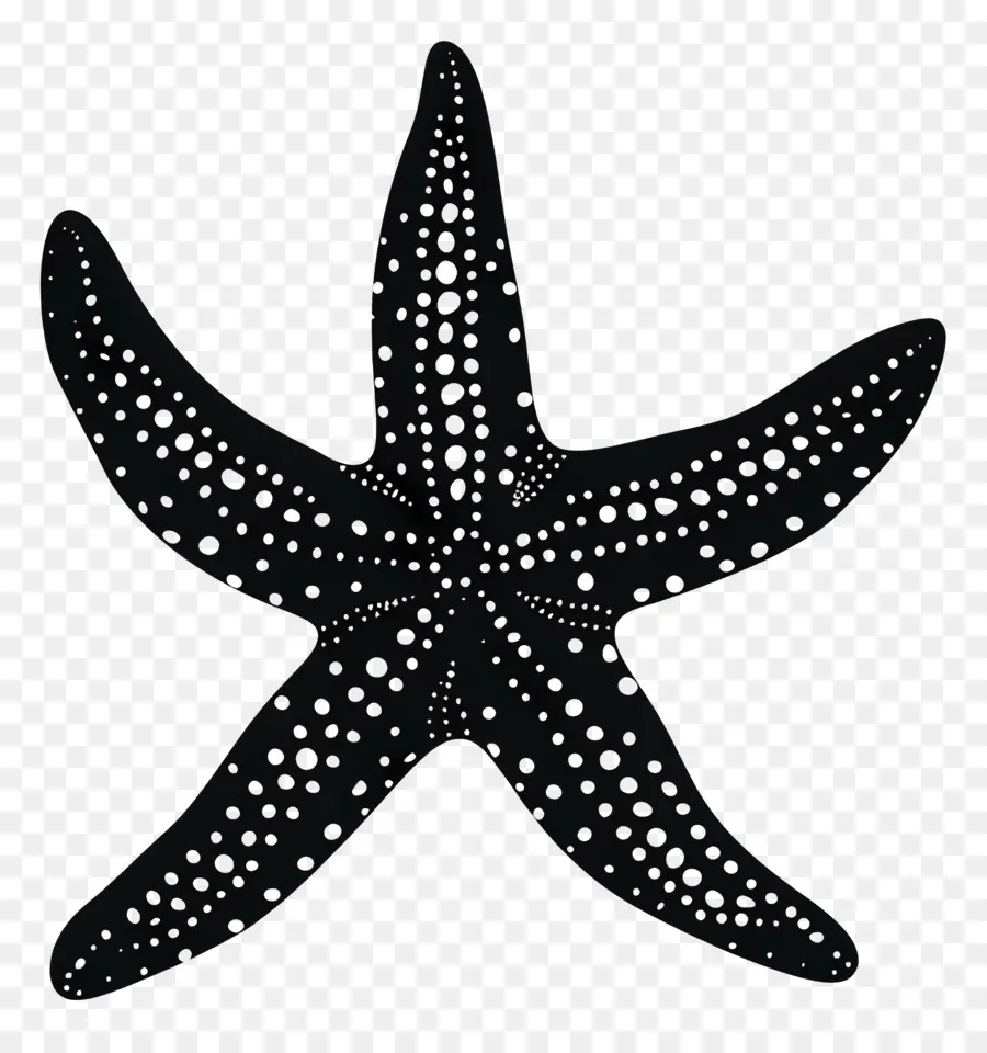 Silueta De Estrella De Mar，Estrella De Mar PNG