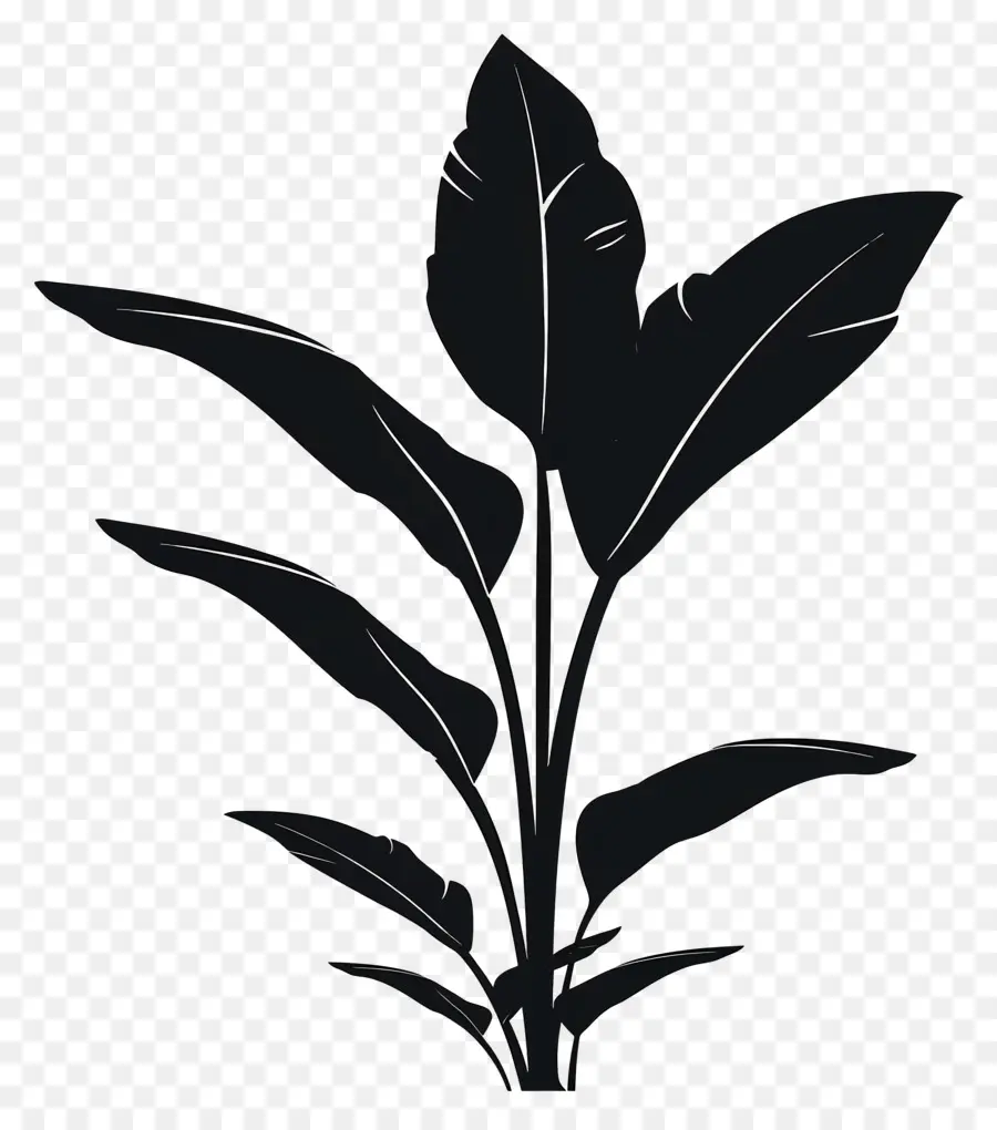 Silueta De Planta，Silueta De Planta Negra PNG