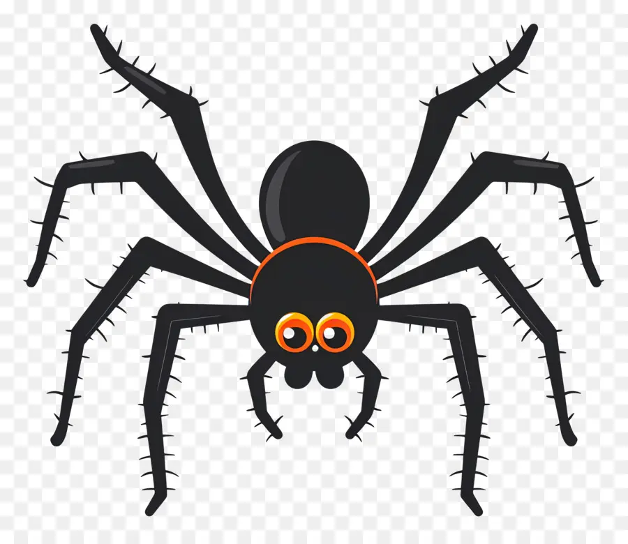 Araña De Halloween，Araña PNG