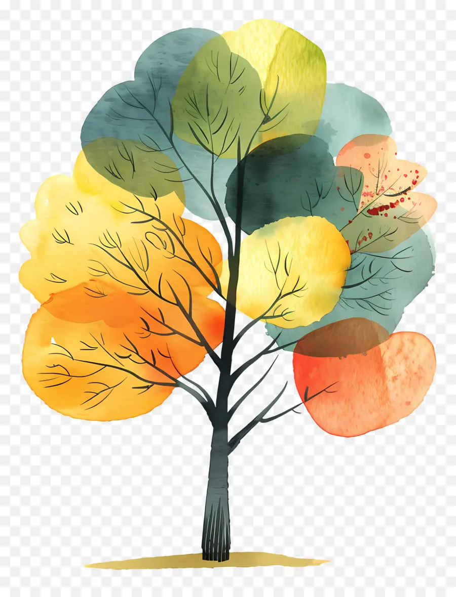 Dibujos Animados De árbol，Colorido árbol PNG