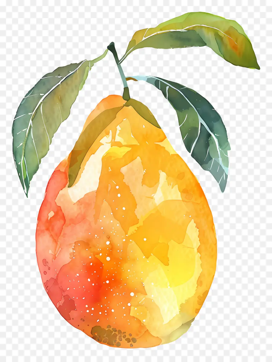 Mango，Naranja PNG