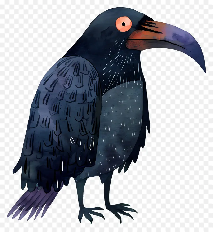 Raven De Dibujos Animados，Pájaro Negro PNG