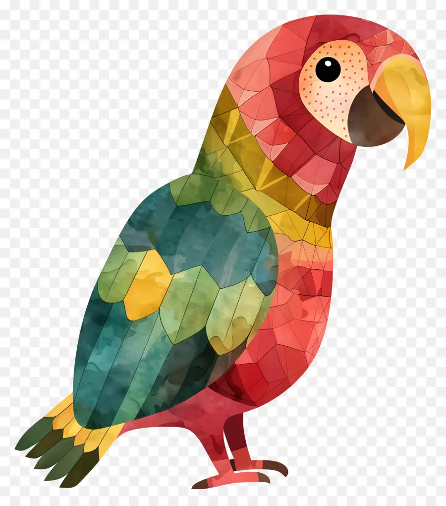 Loro，Plumas De Colores PNG