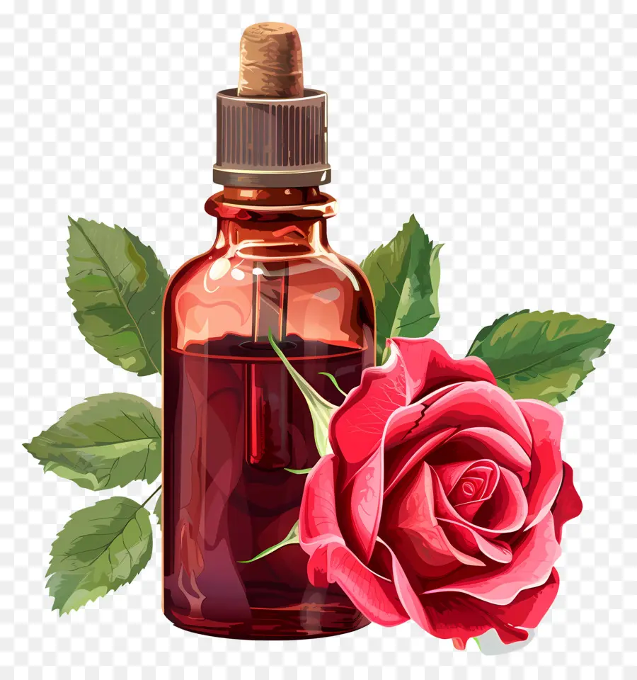 El Aceite De Rosa，Rosa Rosa PNG