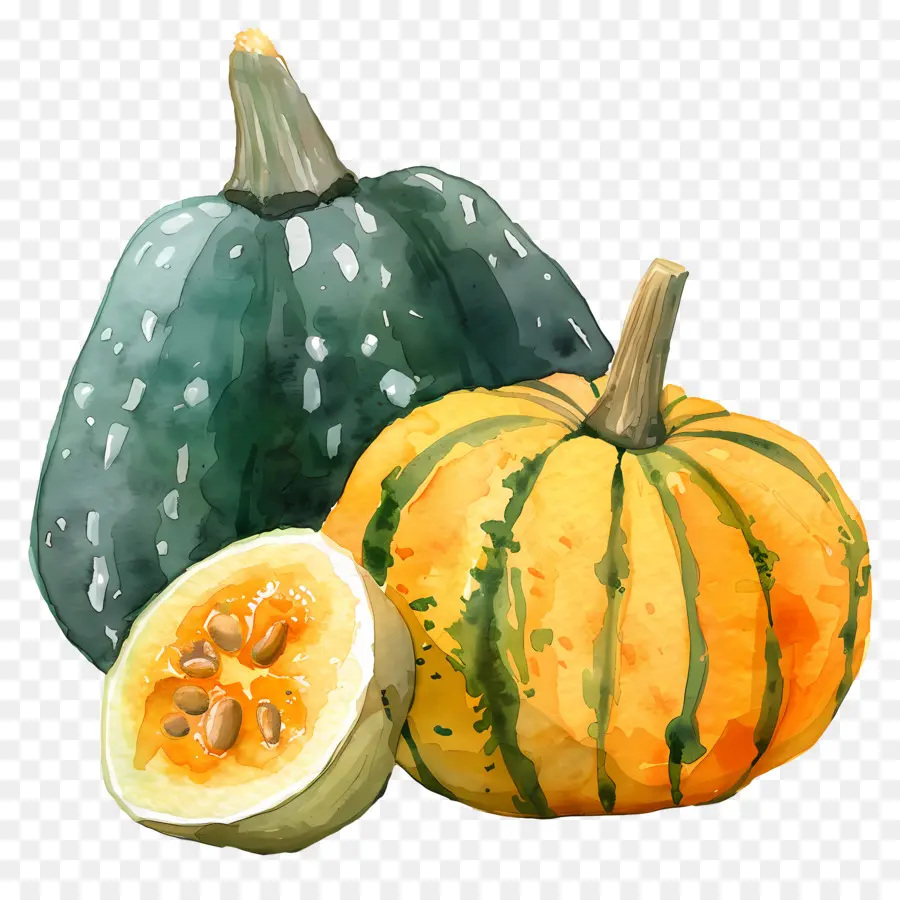 Calabaza，Calabazas PNG