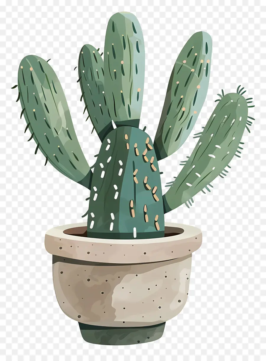 Verde Cactus，Cactus PNG