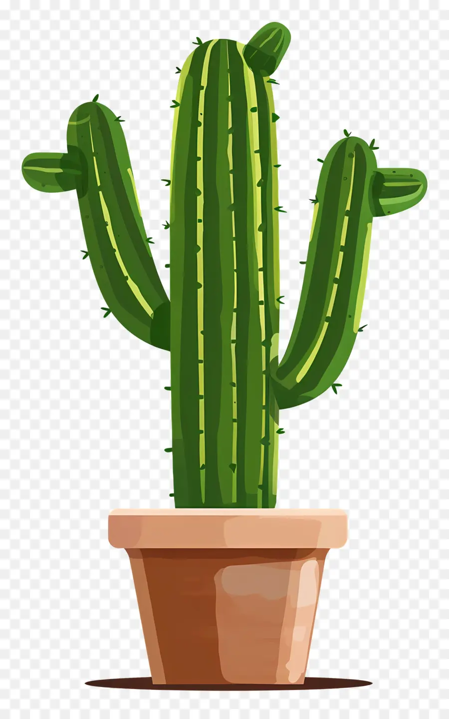 Verde Cactus，Cactus PNG