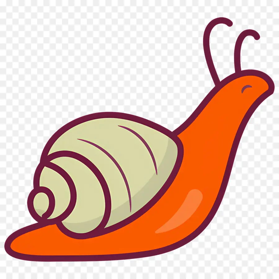 Caracol，Naranja PNG