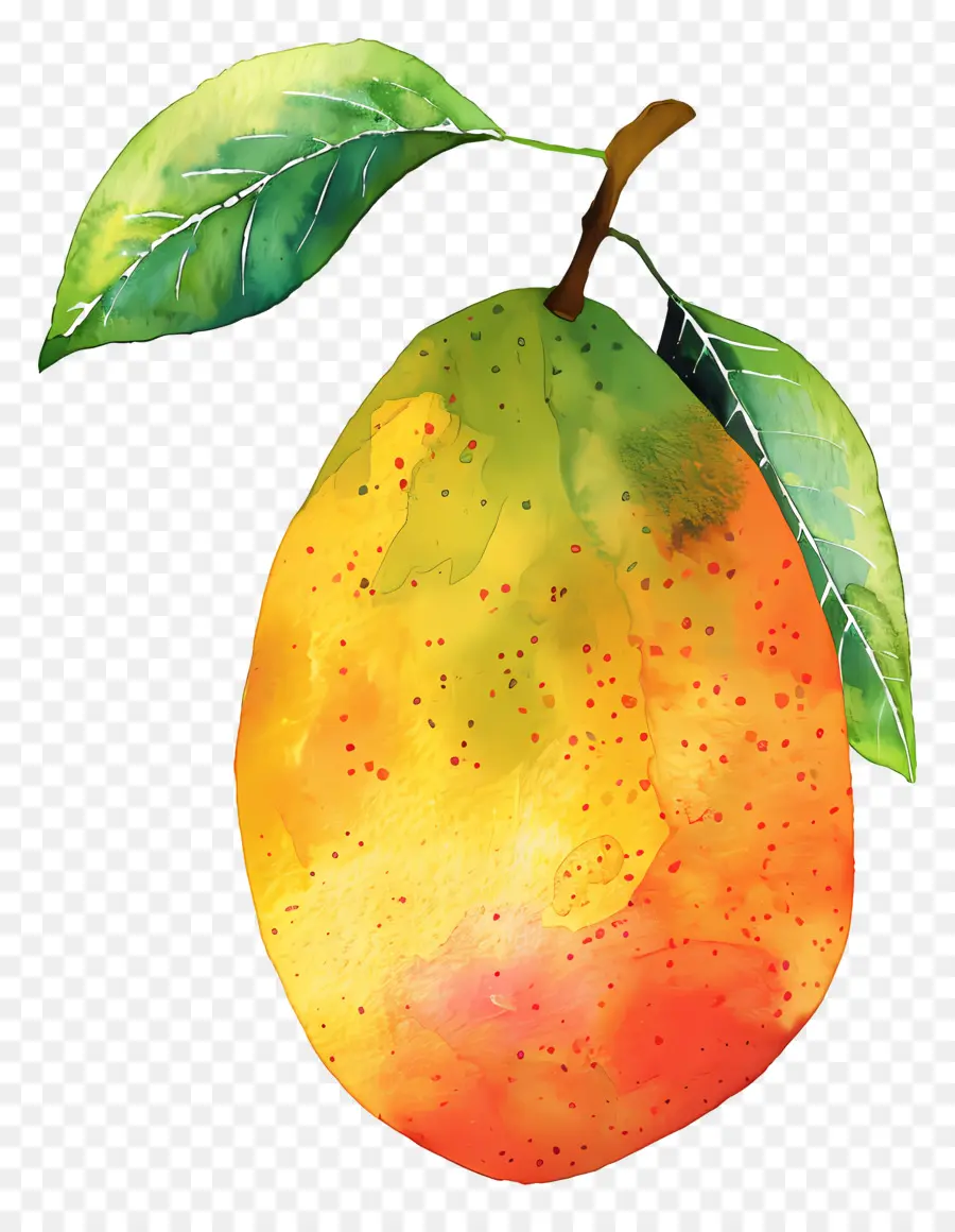 Mango，Pera PNG