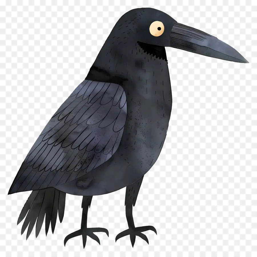 Raven De Dibujos Animados，Cuervo PNG