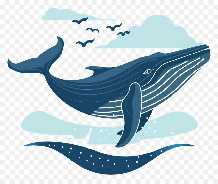 La Observación De Ballenas，La Ballena Azul PNG