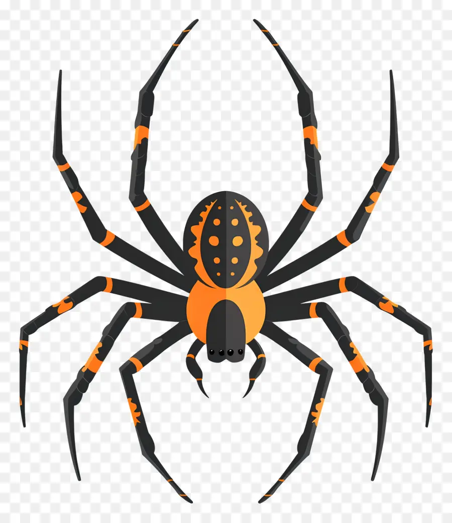 Araña De Halloween，Araña PNG