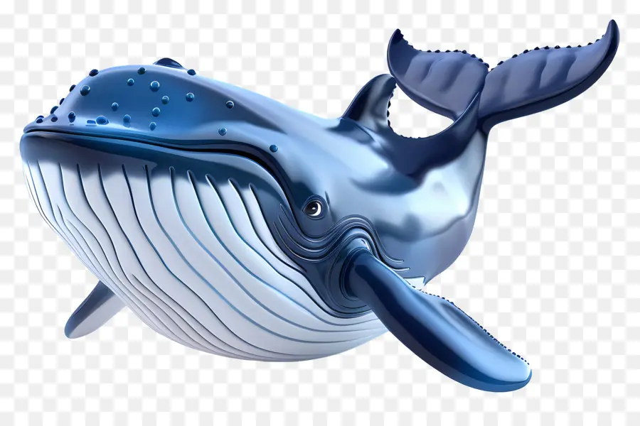 La Observación De Ballenas，La Ballena Azul PNG