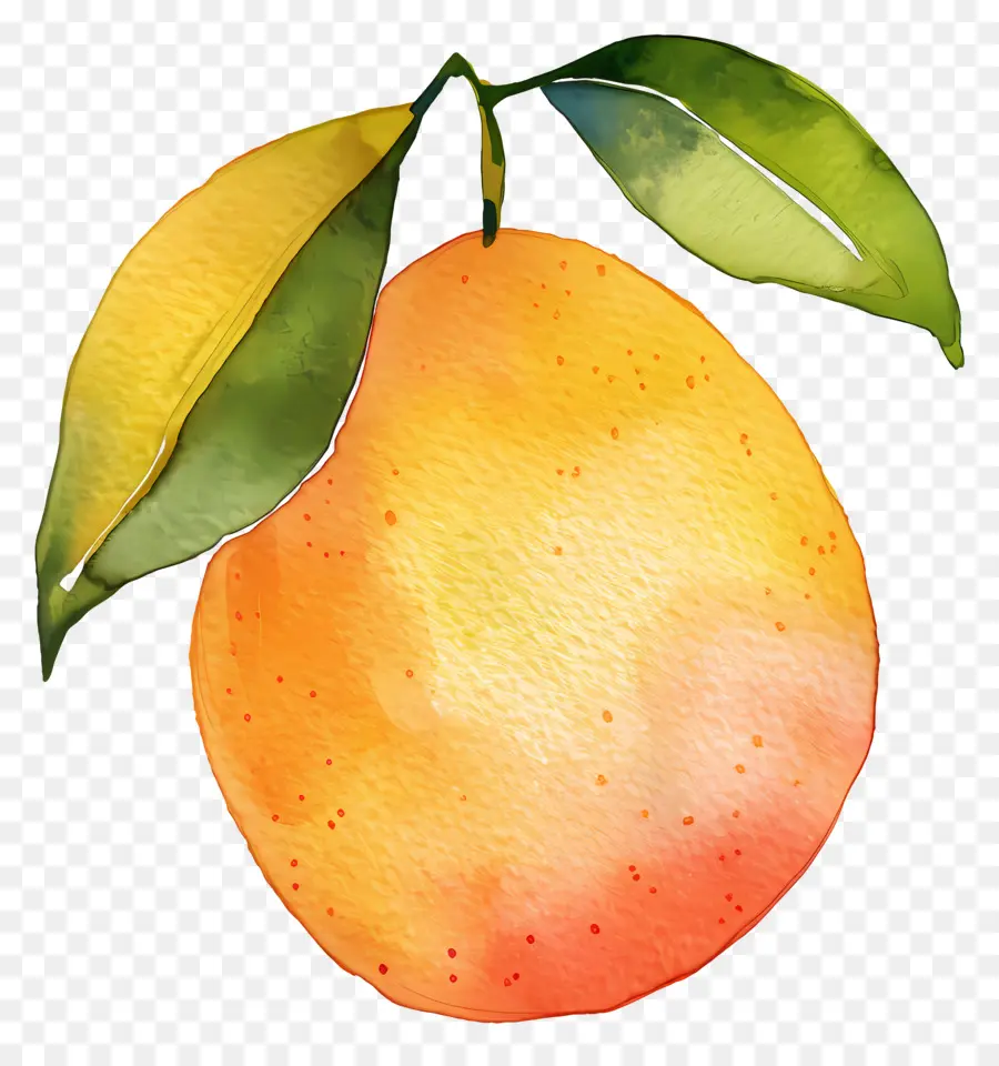 Mango，Naranja PNG